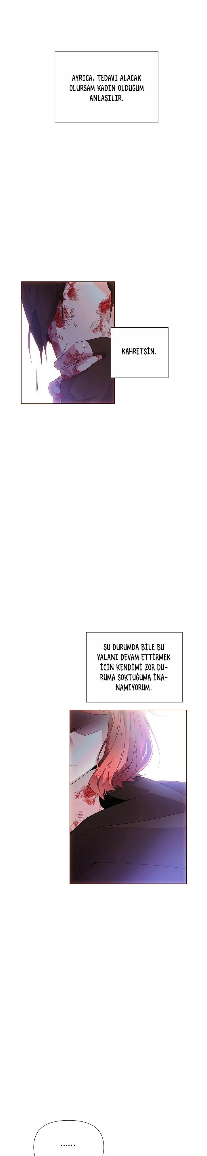 8-cmc1vvo430025phxcd4xhnki2