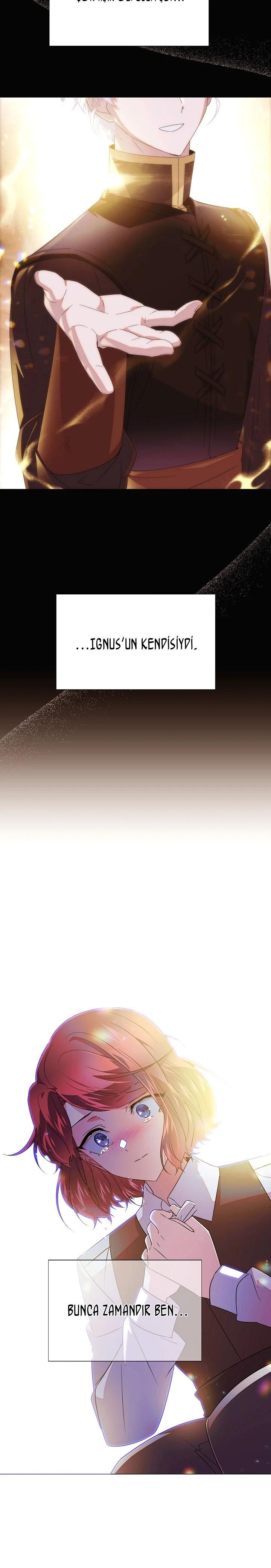 5-cmc1vvo430025phxcd4xhnki2