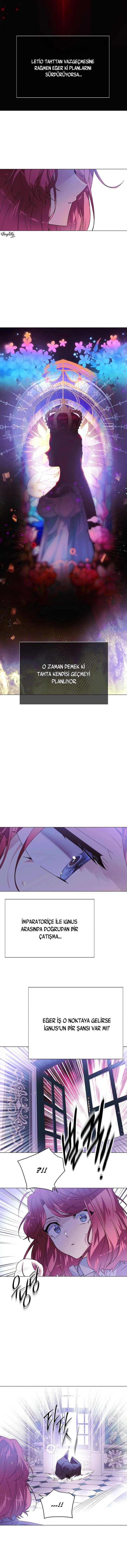 12-cmc1vvo430025phxcd4xhnki2
