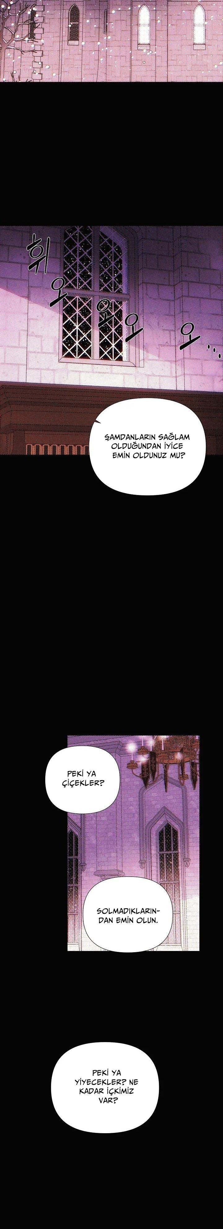14-cmc1vvo430025phxcd4xhnki2