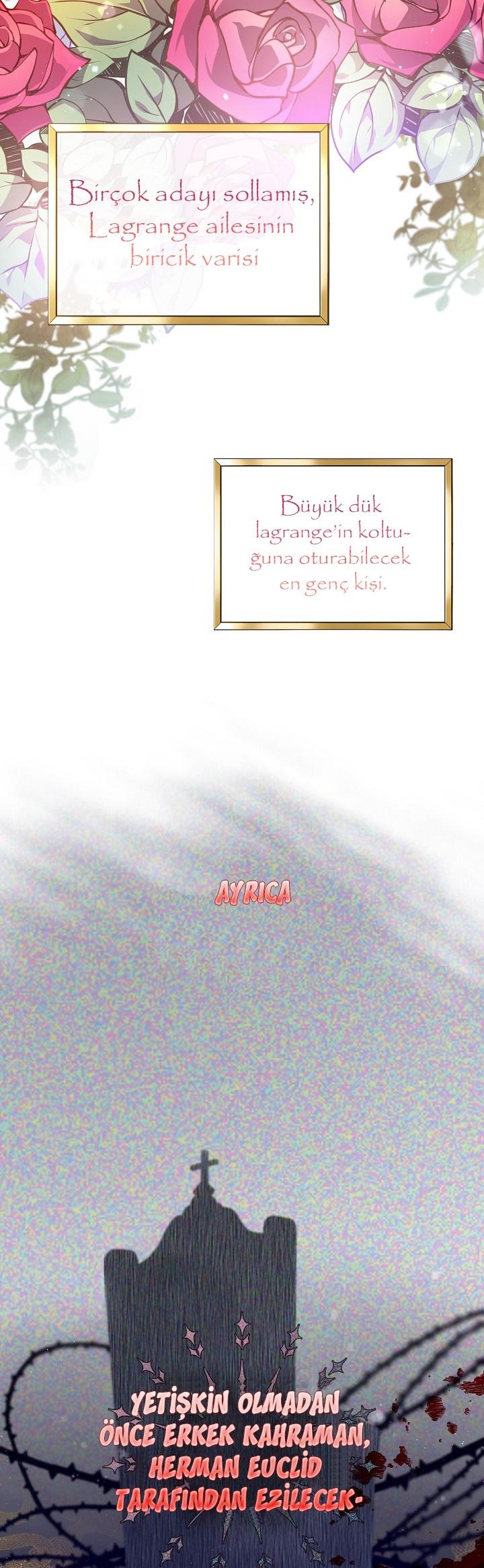10-cmc1vvo430025phxcd4xhnki2