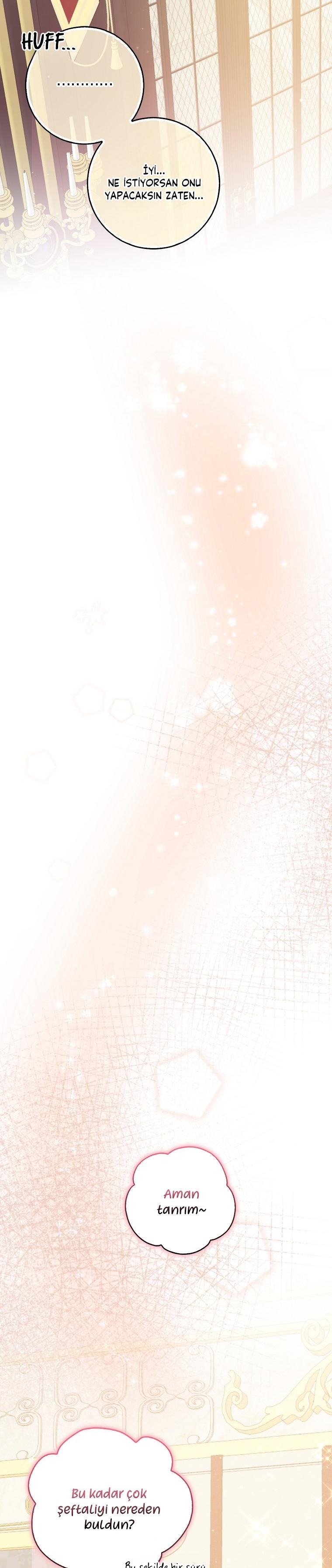 33-cmc1vvo430025phxcd4xhnki2