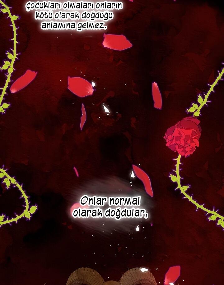 23-cmc1vvo430025phxcd4xhnki2