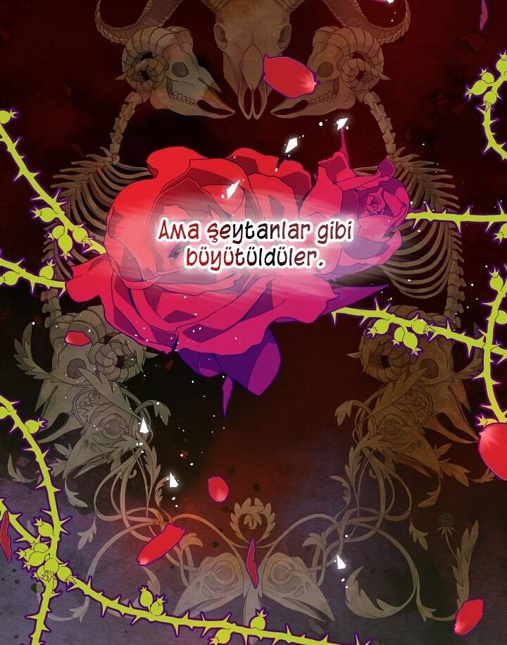 24-cmc1vvo430025phxcd4xhnki2