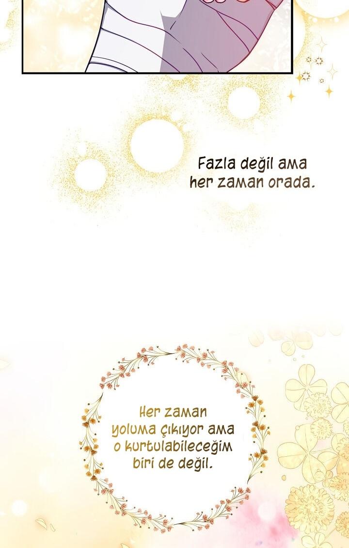 25-cmc1vvo430025phxcd4xhnki2