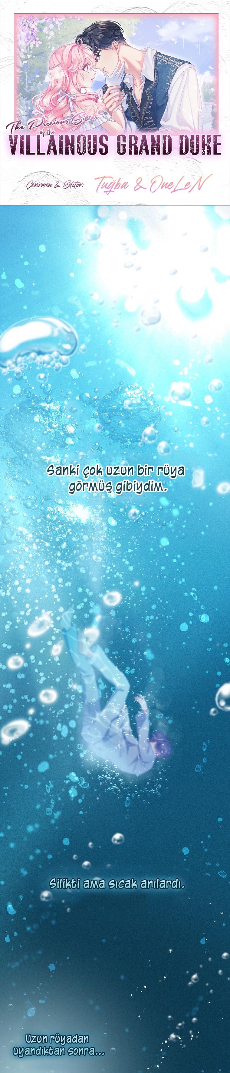 1-cmc1vvo430025phxcd4xhnki2