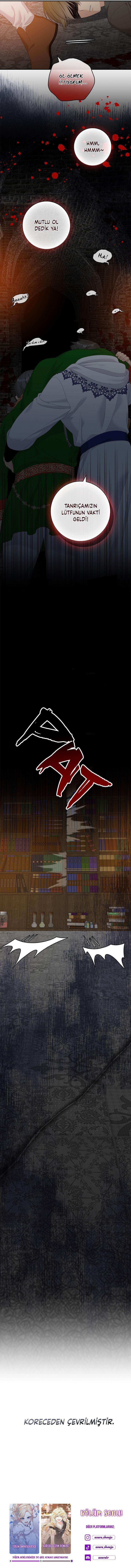 8-cmnq2268807i4ucwa0pciz3a1