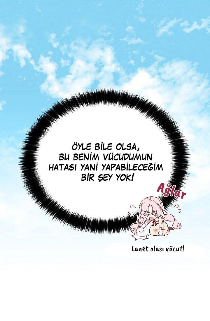 29-cmc1vvo430025phxcd4xhnki2