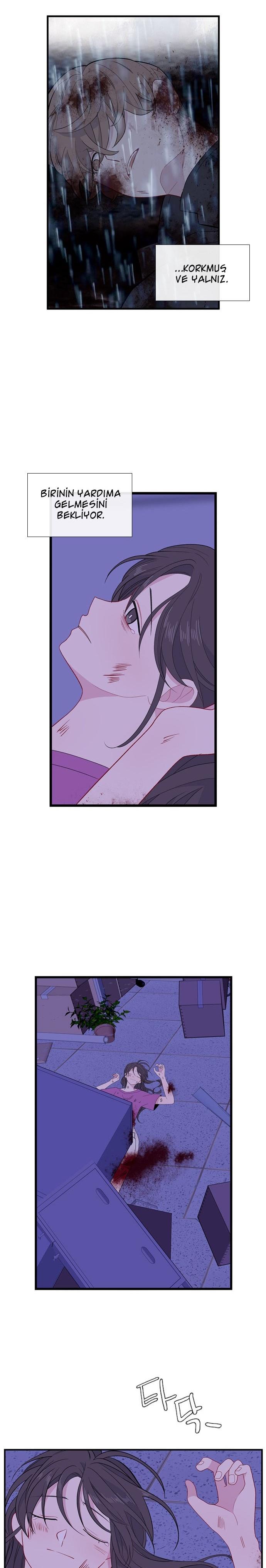 22-cm2xdfr0s0001tt82570od8ls