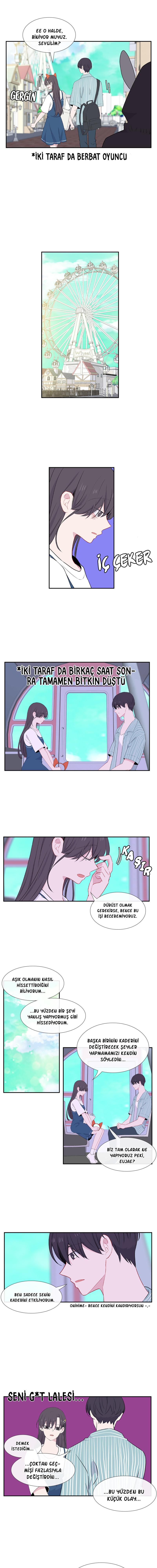 4-cm2xdfr0s0001tt82570od8ls