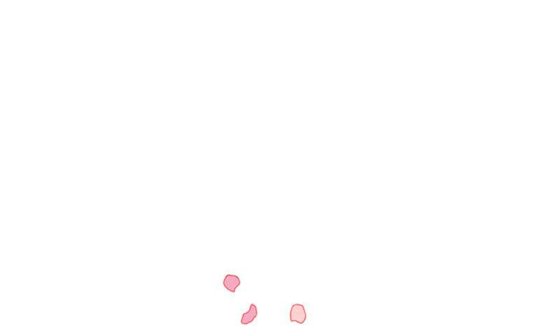 83-cm2xdfr0s0001tt82570od8ls
