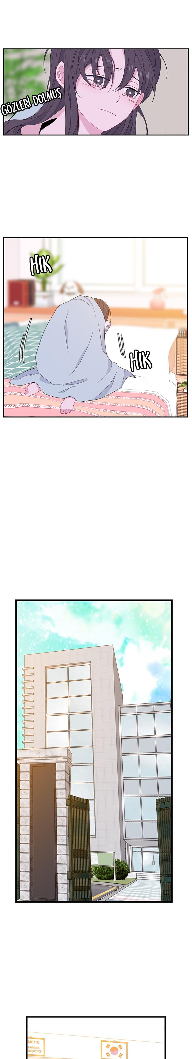 13-cm2xdfr0s0001tt82570od8ls