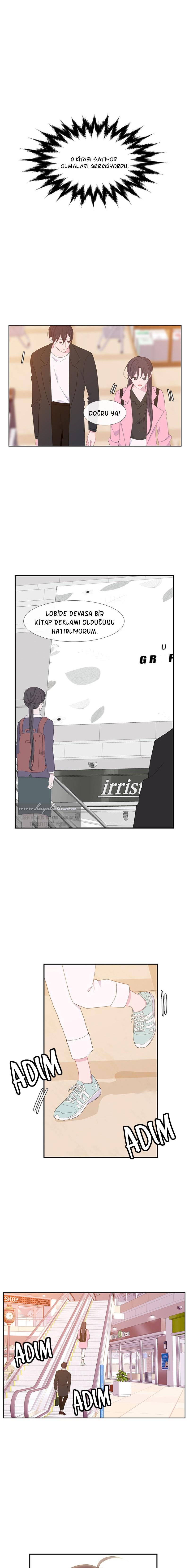 24-cm2xdfr0s0001tt82570od8ls