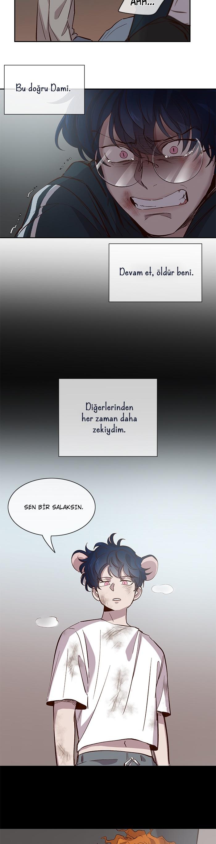 17-cm2xdfr0s0001tt82570od8ls