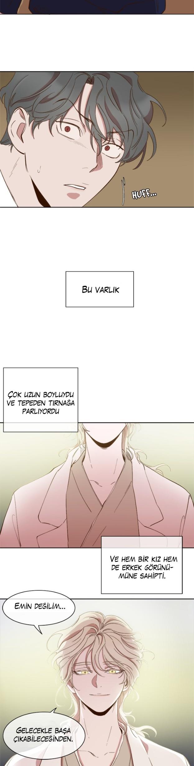 22-cm2xdfr0s0001tt82570od8ls