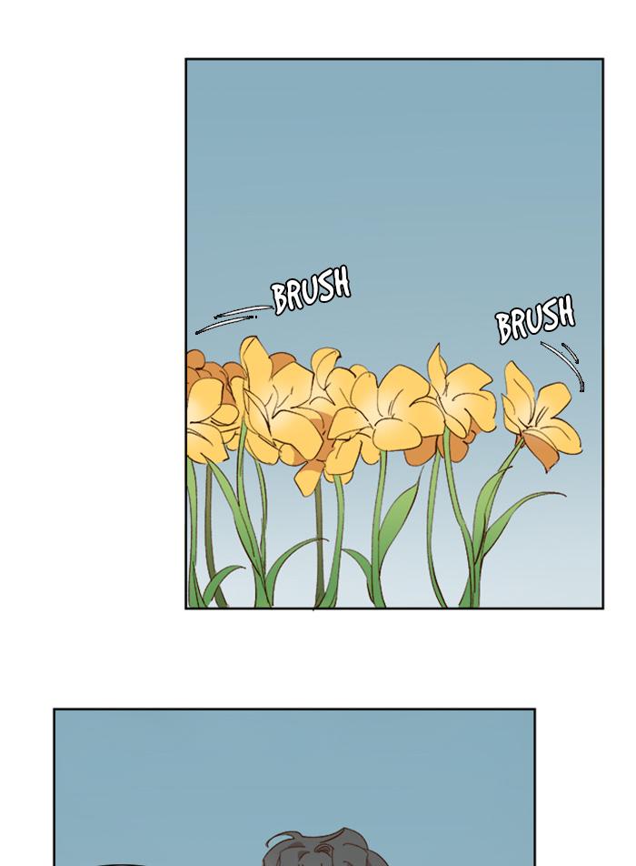41-cm2xdfr0s0001tt82570od8ls