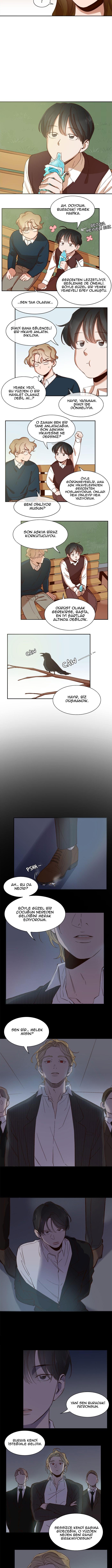 5-cm2xdfr0s0001tt82570od8ls