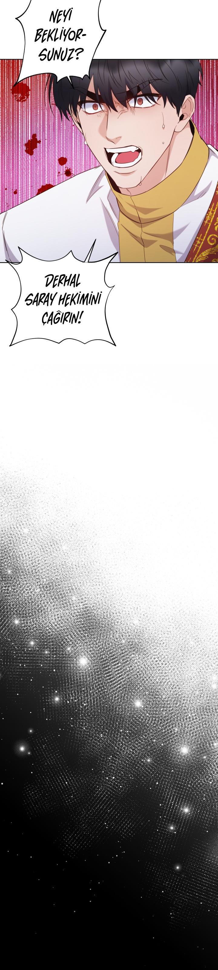 11-cm2xdfr0s0001tt82570od8ls