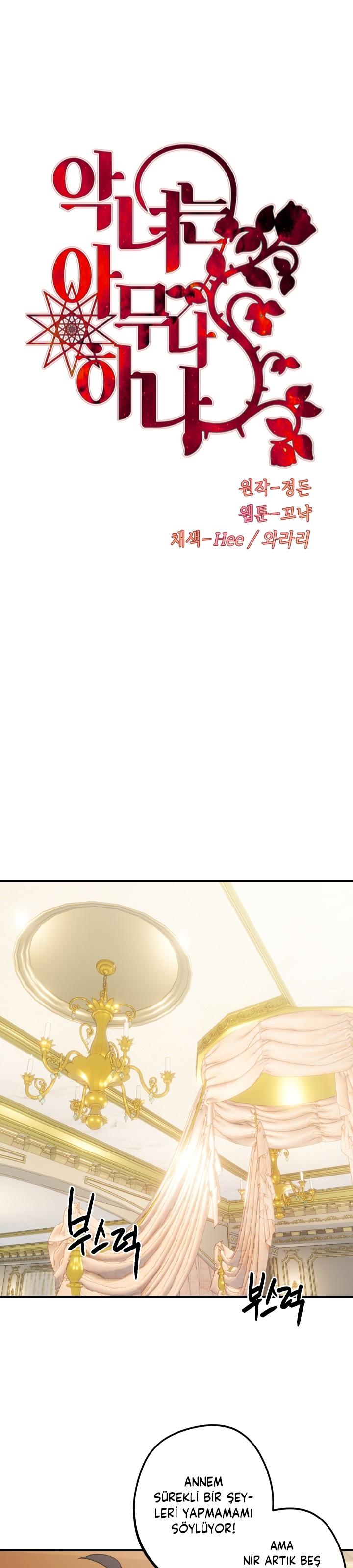 2-cm2xdfr0s0001tt82570od8ls