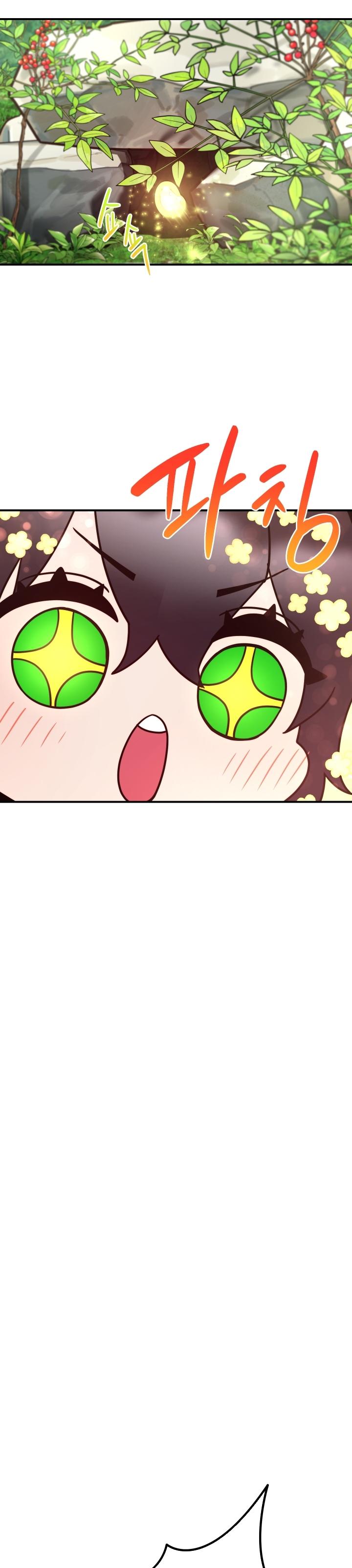 24-cm2xdfr0s0001tt82570od8ls