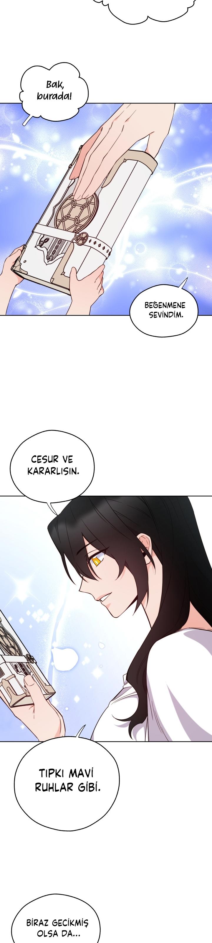 19-cm2xdfr0s0001tt82570od8ls