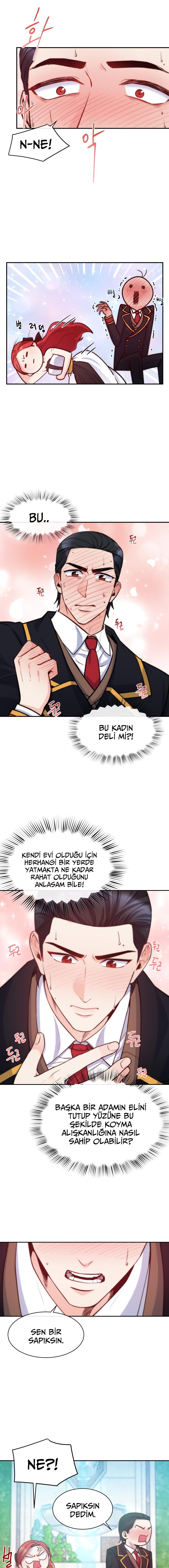 3-cm2xdfr0s0001tt82570od8ls