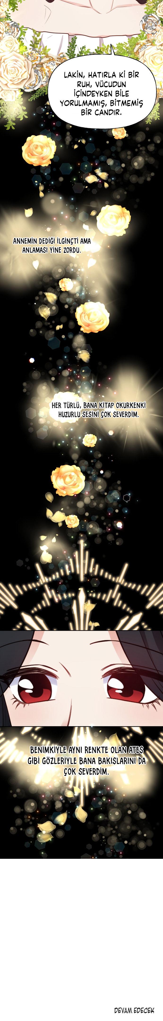 21-cm2xdfr0s0001tt82570od8ls
