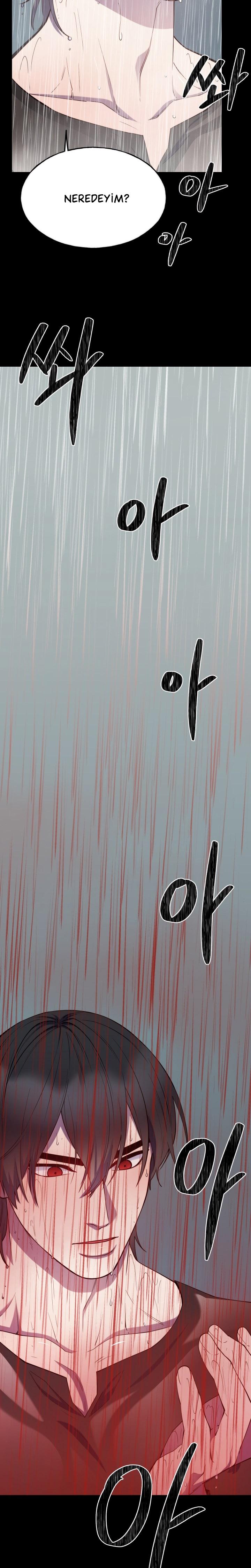 13-cm2xdfr0s0001tt82570od8ls