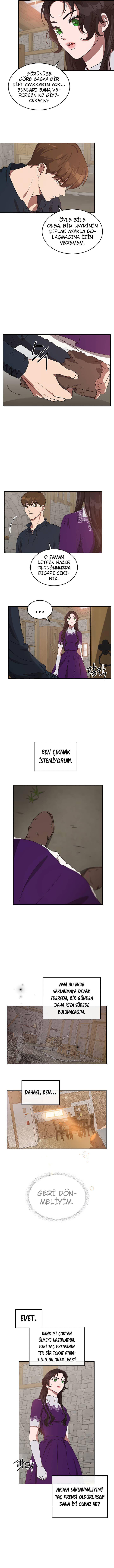 12-cmnq2268807i4ucwa0pciz3a1