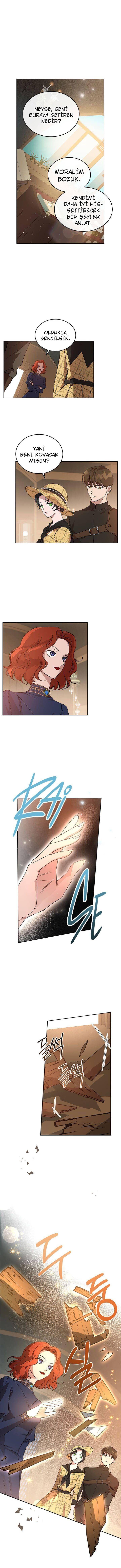 7-cmnq2268807i4ucwa0pciz3a1
