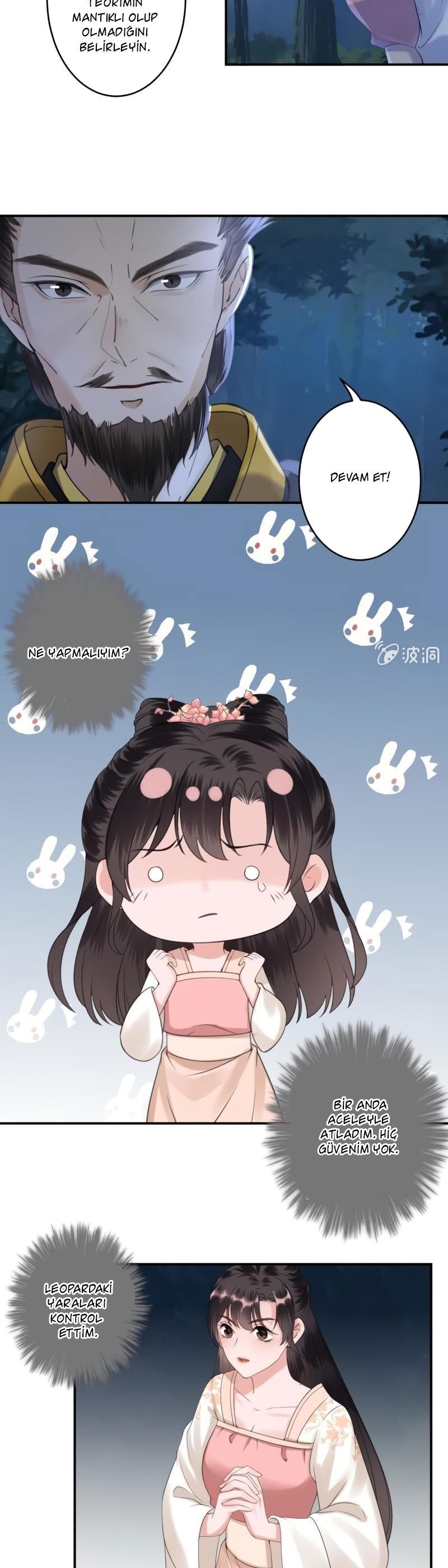 3-cmc1vvo430025phxcd4xhnki2