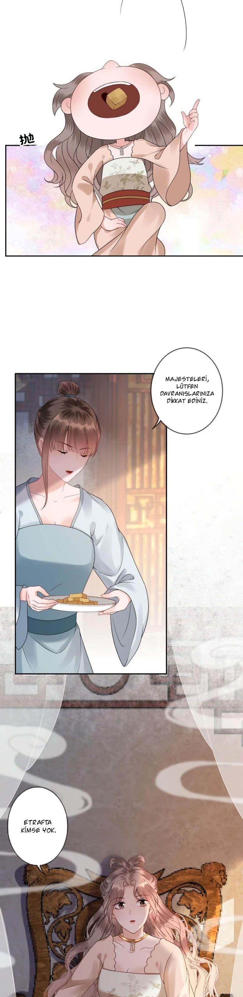 8-cmc1vvo430025phxcd4xhnki2