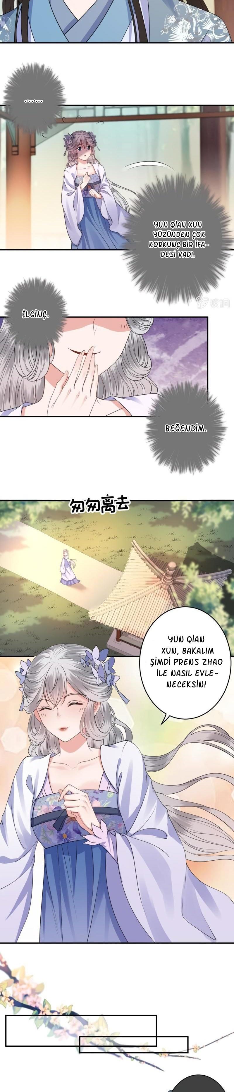 9-cmc1vvo430025phxcd4xhnki2