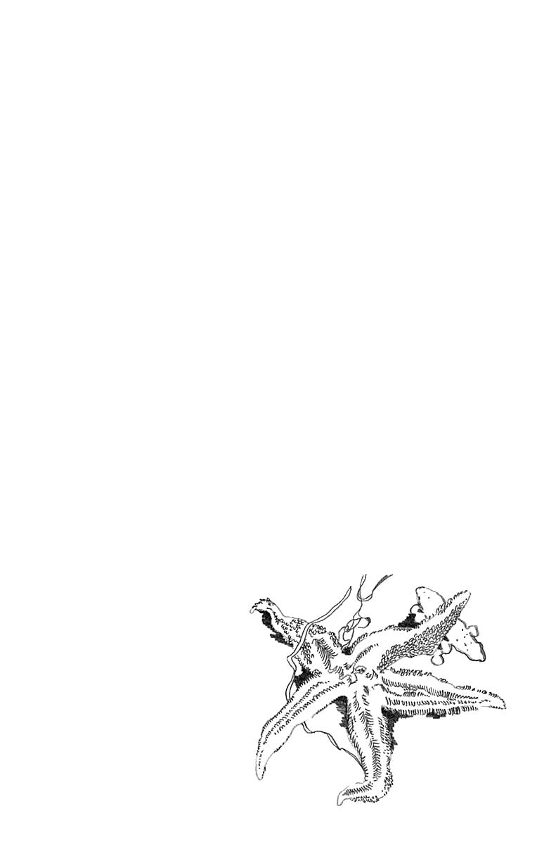 33-cm2hpanpv0000ftowqacx4hgo