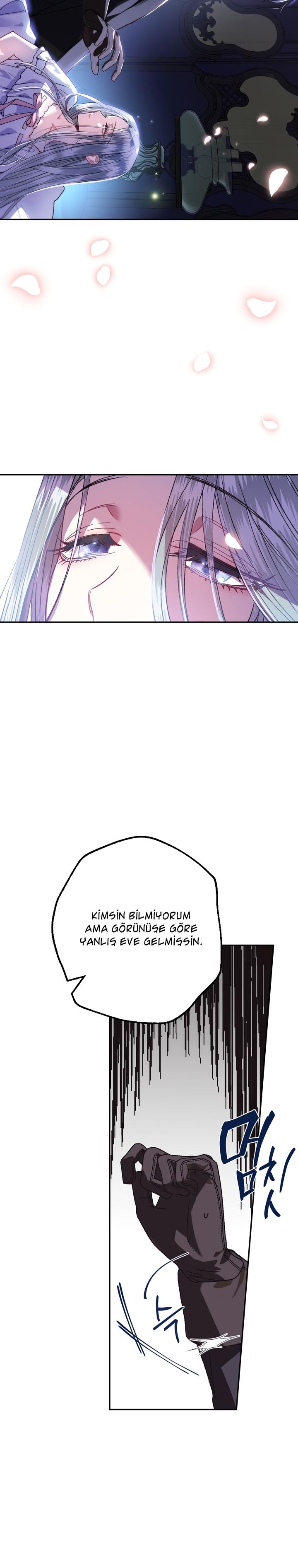 7-cm2xdfr0s0001tt82570od8ls