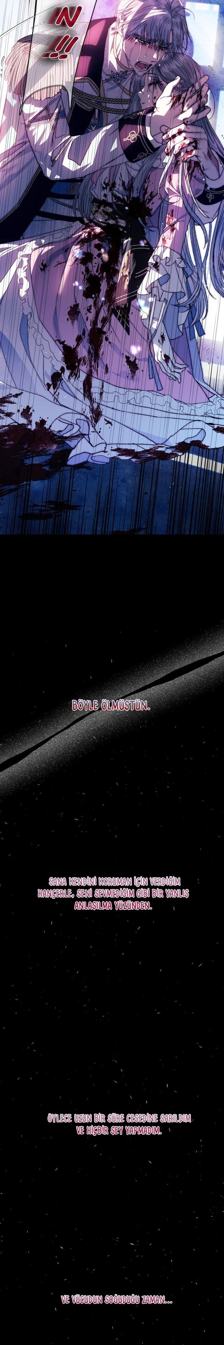 20-cm2xdfr0s0001tt82570od8ls