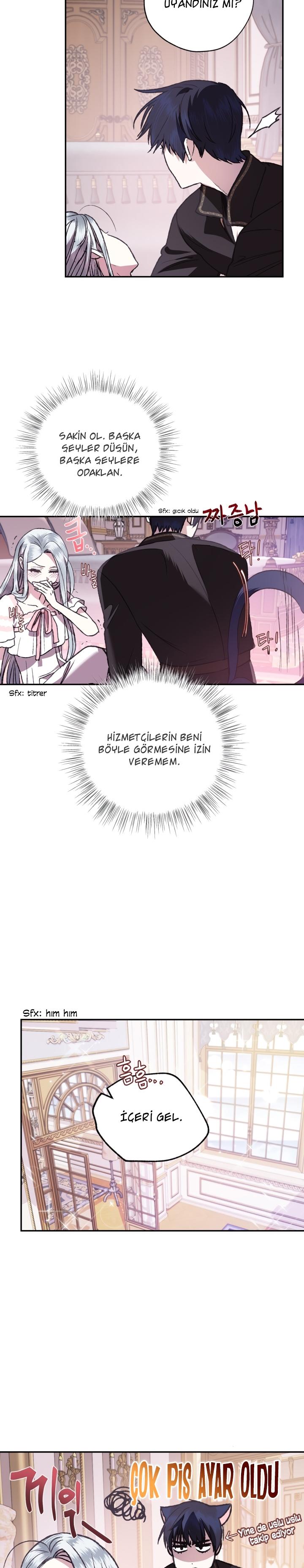 20-cm2xdfr0s0001tt82570od8ls