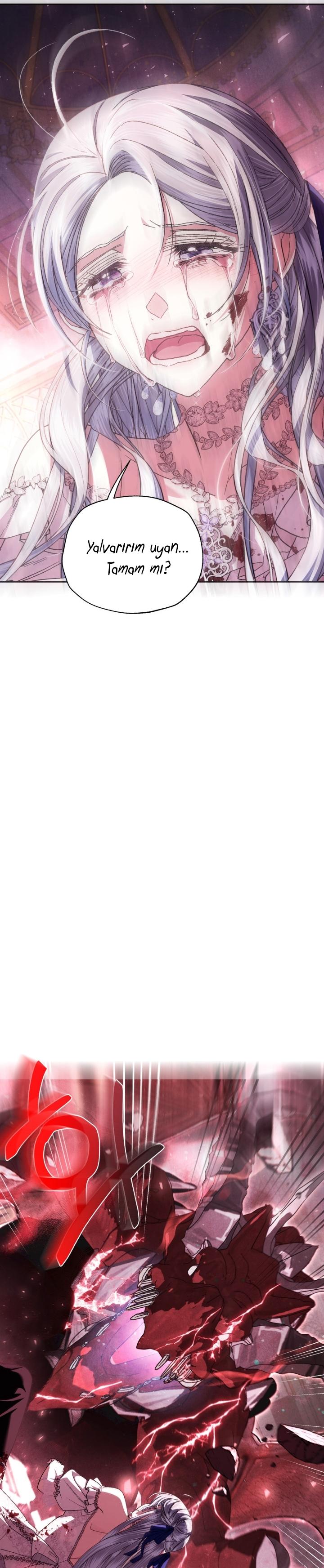 3-cm2xdfr0s0001tt82570od8ls