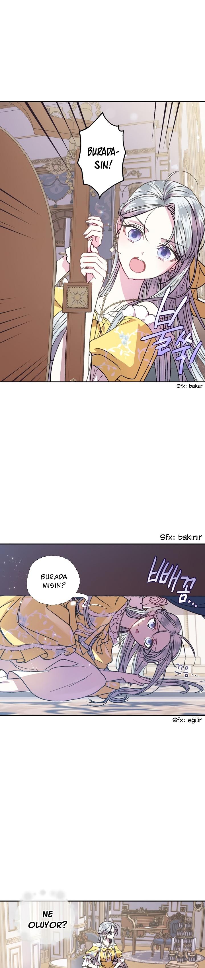 22-cm2xdfr0s0001tt82570od8ls