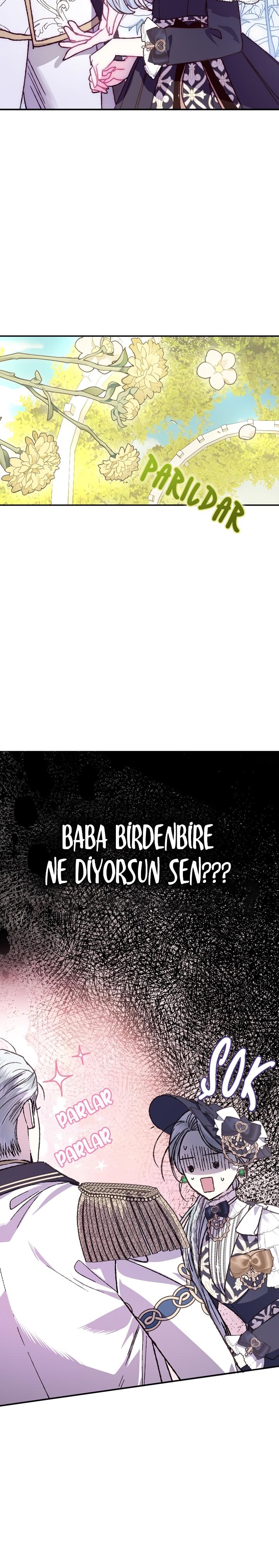 3-cm2xdfr0s0001tt82570od8ls