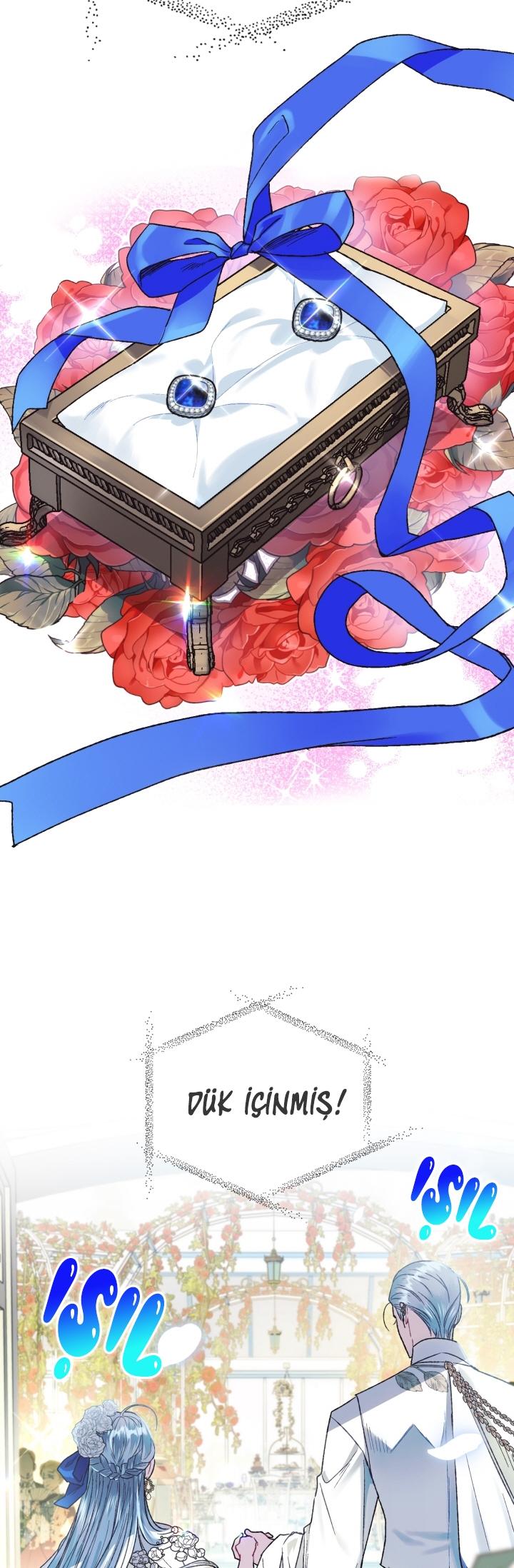 18-cm2xdfr0s0001tt82570od8ls