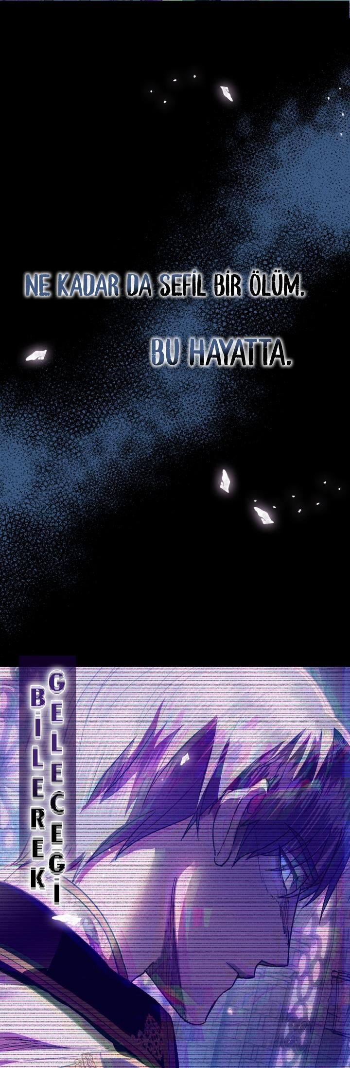 5-cm2xdfr0s0001tt82570od8ls