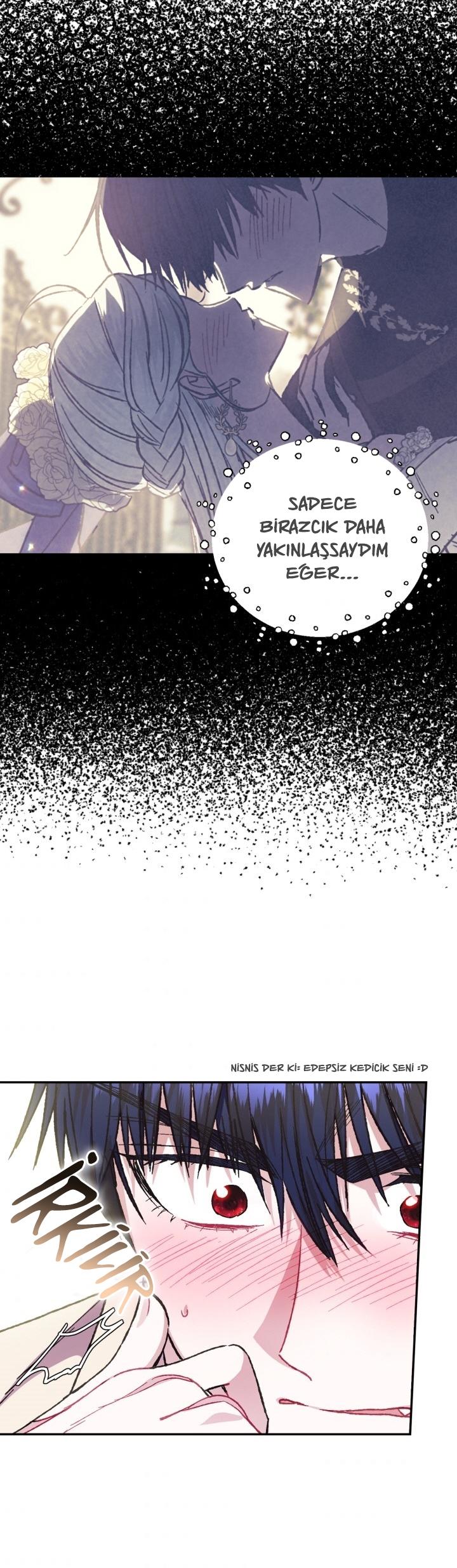 27-cm2xdfr0s0001tt82570od8ls