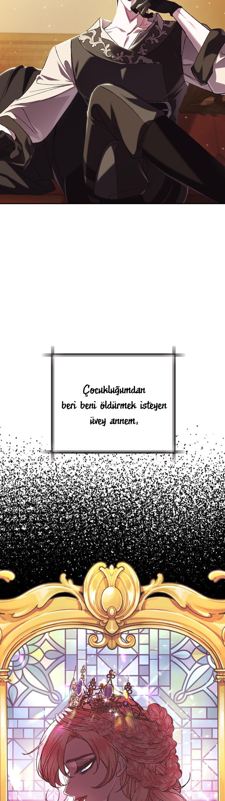 17-cm2xdfr0s0001tt82570od8ls