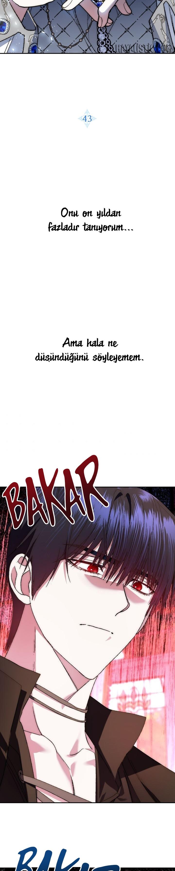 4-cm2xdfr0s0001tt82570od8ls