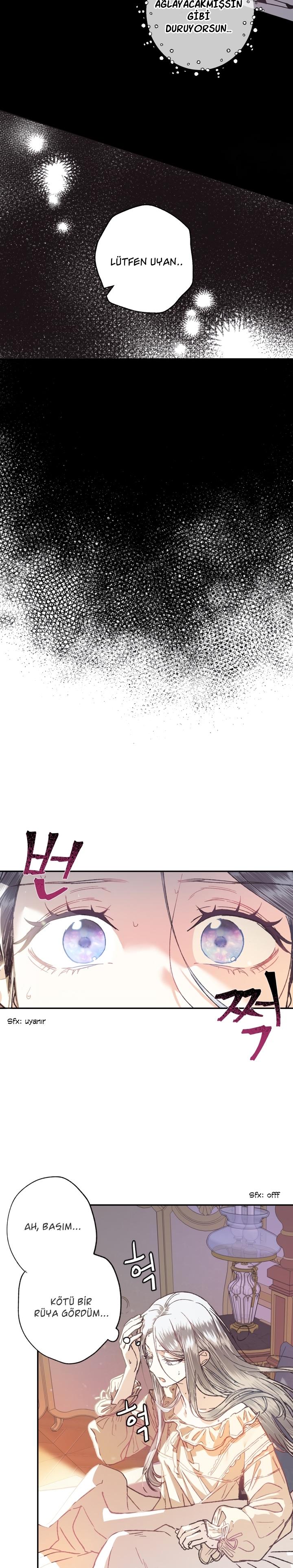 6-cm2xdfr0s0001tt82570od8ls