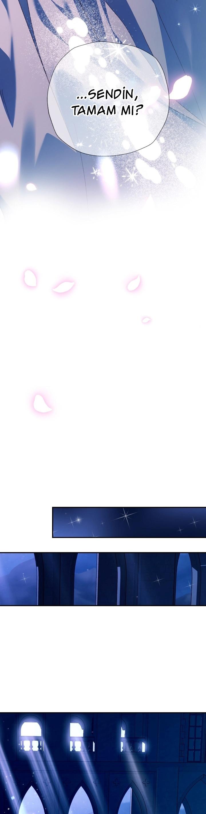 38-cm2xdfr0s0001tt82570od8ls