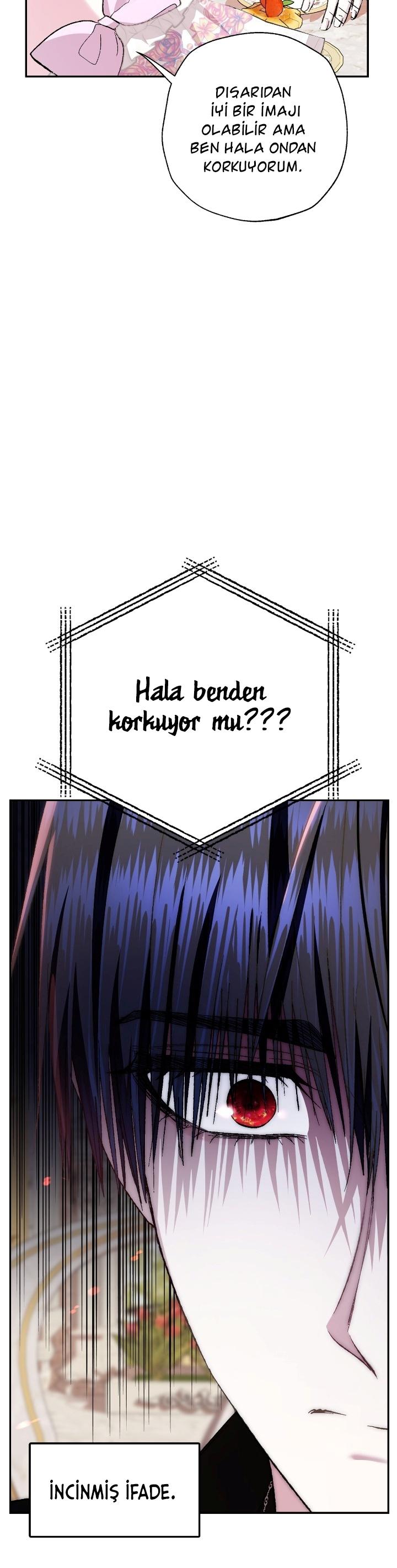 27-cm2xdfr0s0001tt82570od8ls