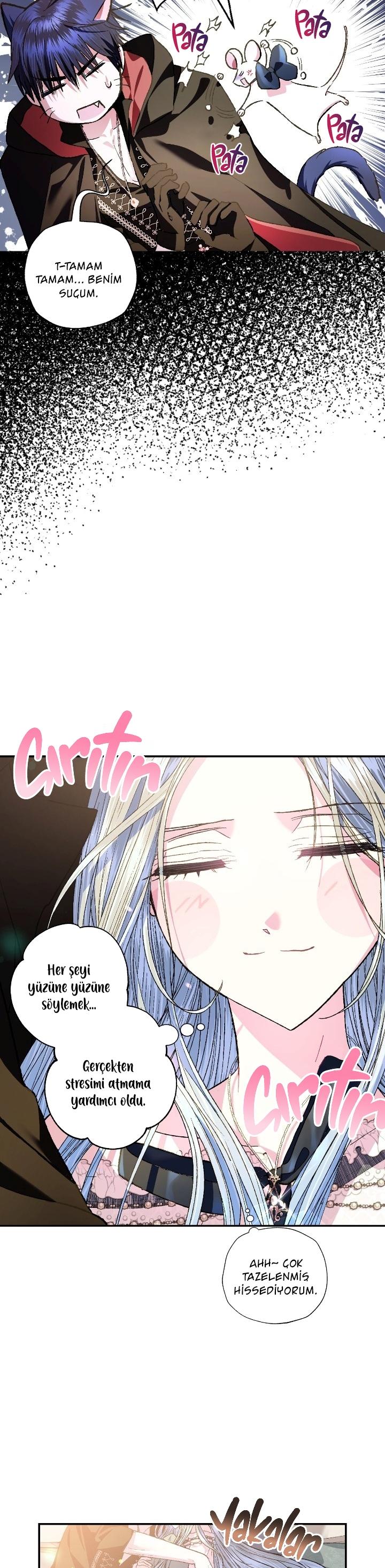 4-cm2xdfr0s0001tt82570od8ls