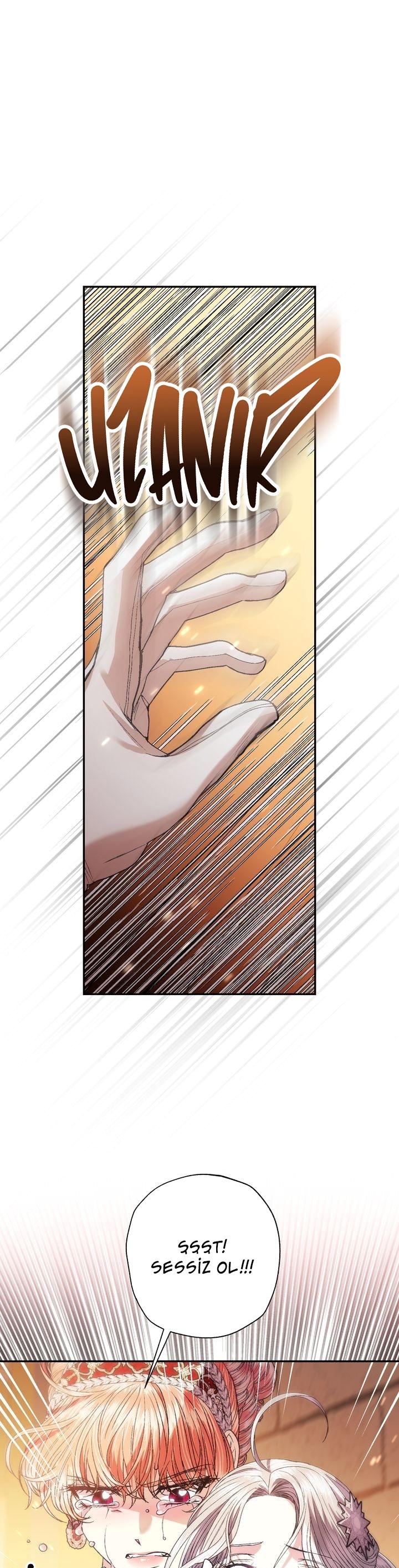 44-cm2xdfr0s0001tt82570od8ls